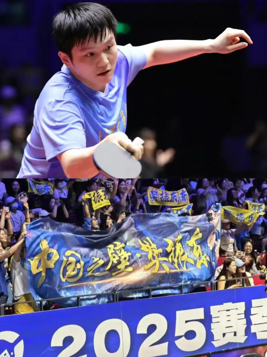 爱游戏在线-包含日本队轻取中国队，樊振东刷新纪录的词条